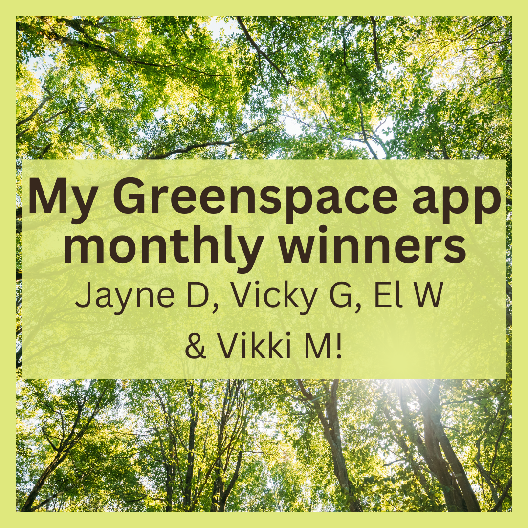 Monthly winners June 2025