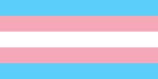 LGBTQ Trans flag
