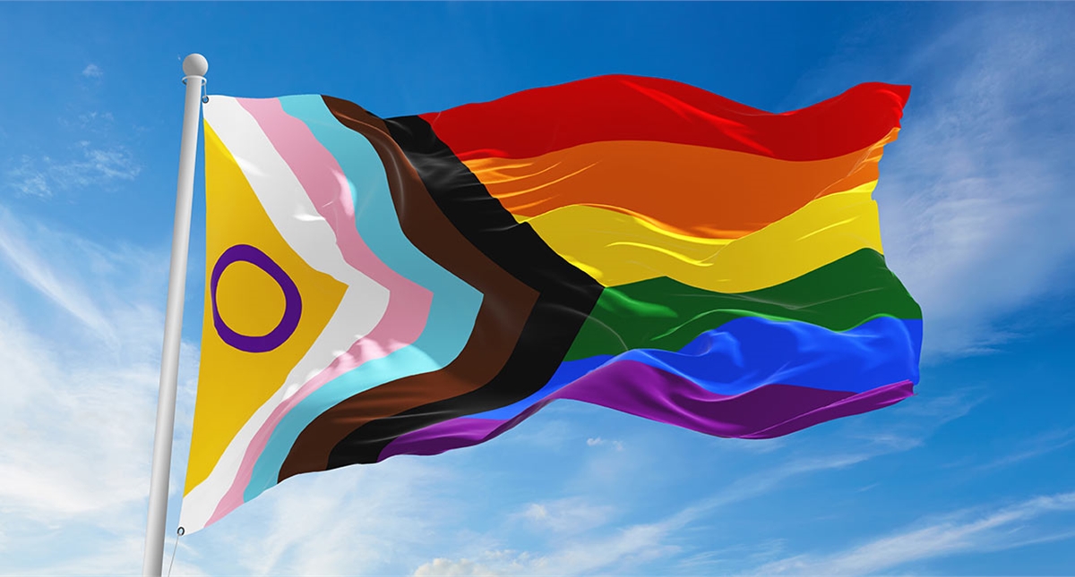 LGBTQ progressive flag