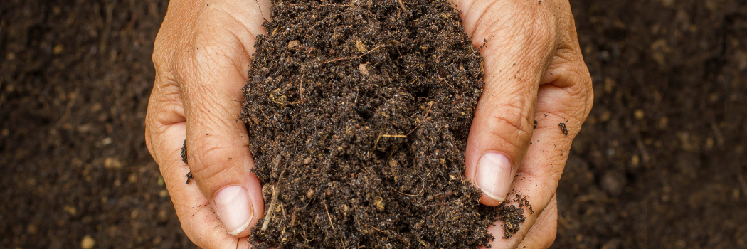 Soil health