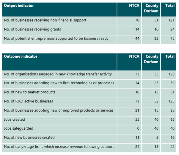 Table 1 In-TUNE Interim Evaluation Report