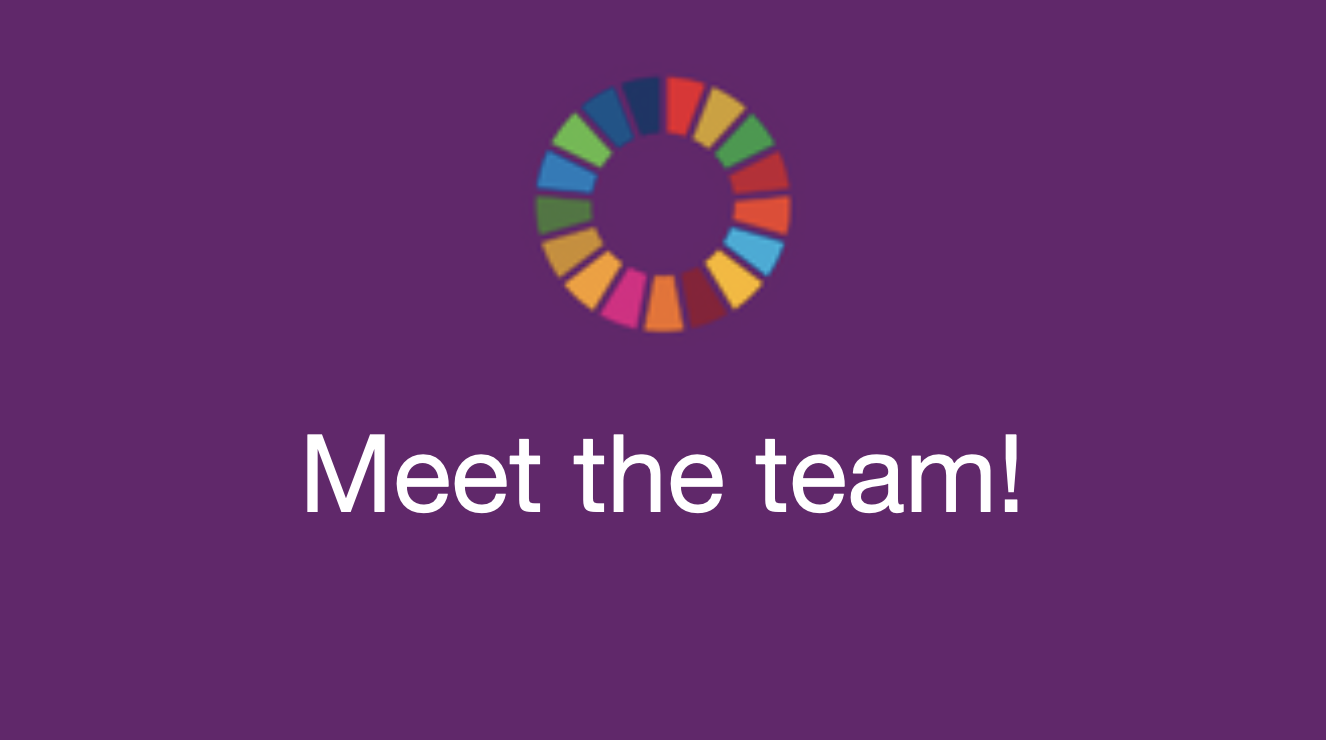 TMeet the Team SDG Wheel