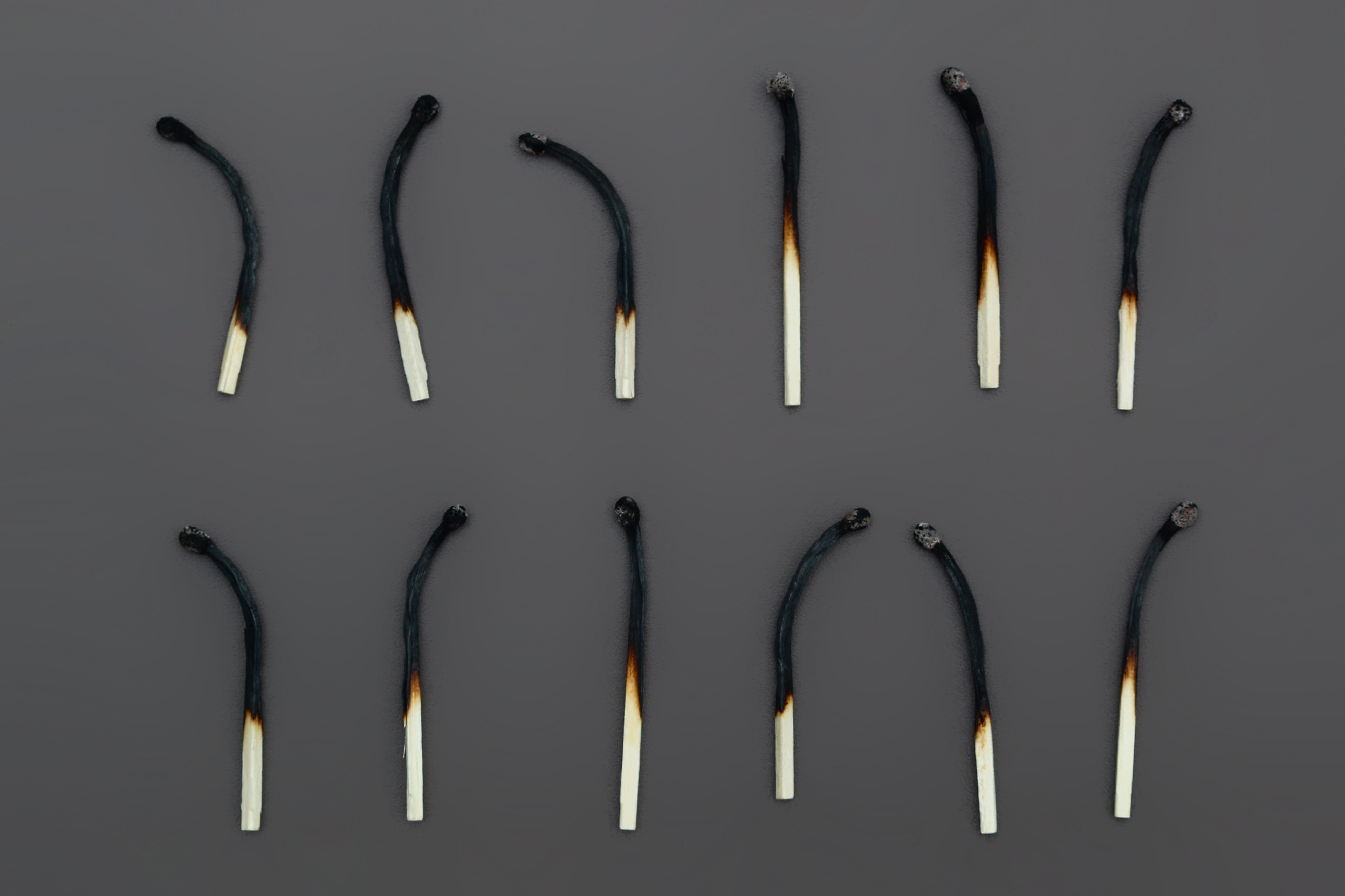 12 burnt matchsticks against a grey background