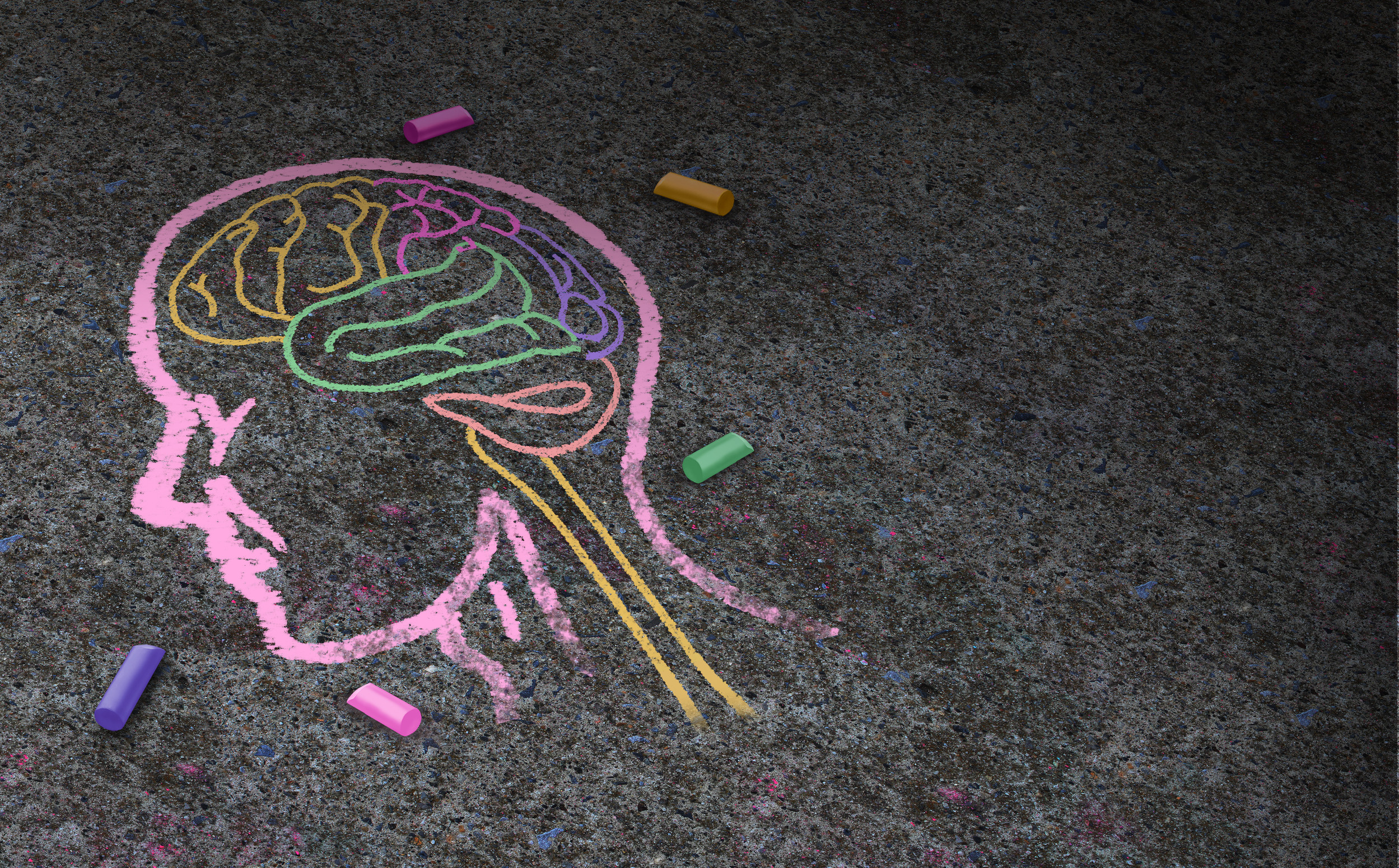 Chalk drawing of a head and brain