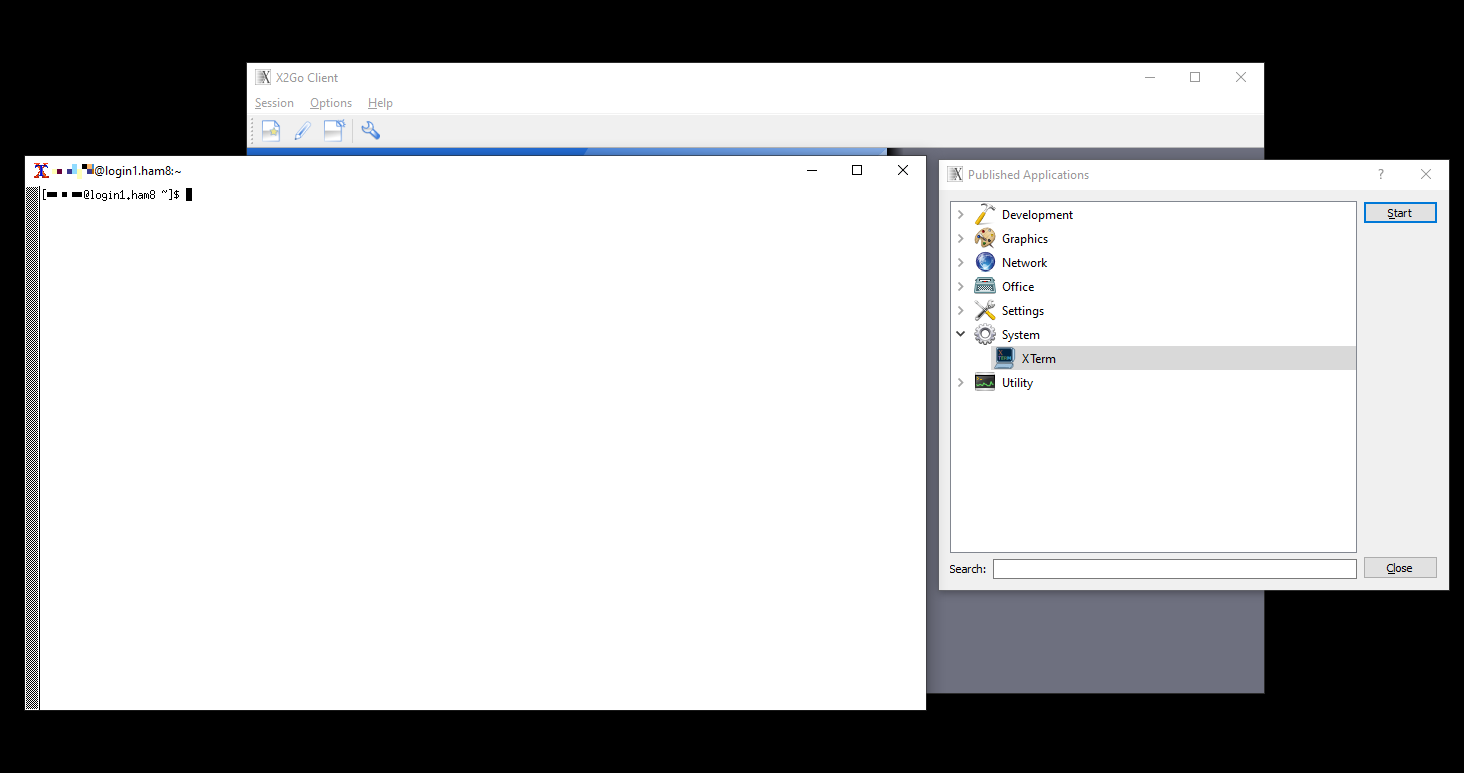 X2Go screenshot showing Xterm started