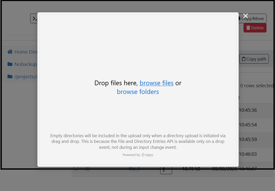 Screenshot of the pane for uploading items to Hamilton8.  Items can be dragged into the pane, while two links in the middle of the pane allow browing for files or folders.