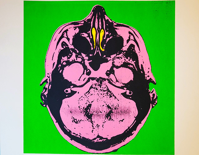 Artwork entitled Portrait of the Artist, image shows a colourful cross section of a skull