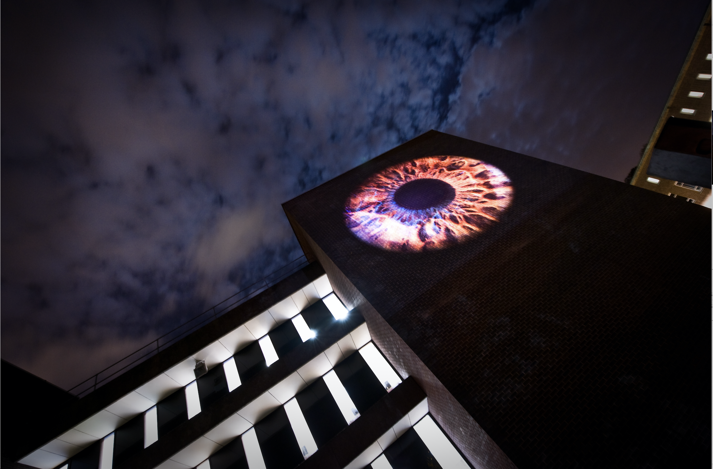 The artwork i being projected onto the side of the Bill Bryson Library as part of Lumiere 2013.