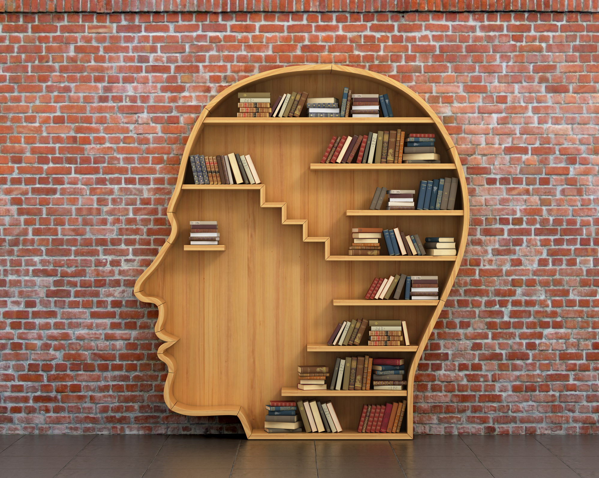 Book case shaped like a head