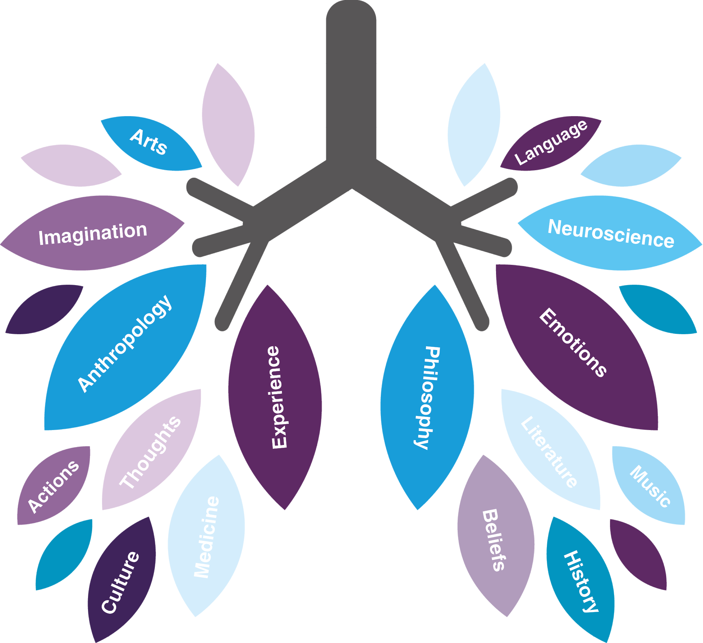 A graphic of lungs with text