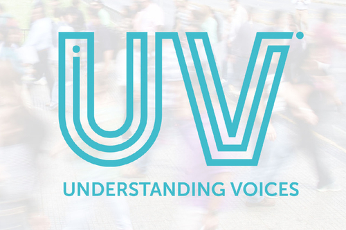 Understanding Voices