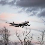 A plane flying over trees at dusk