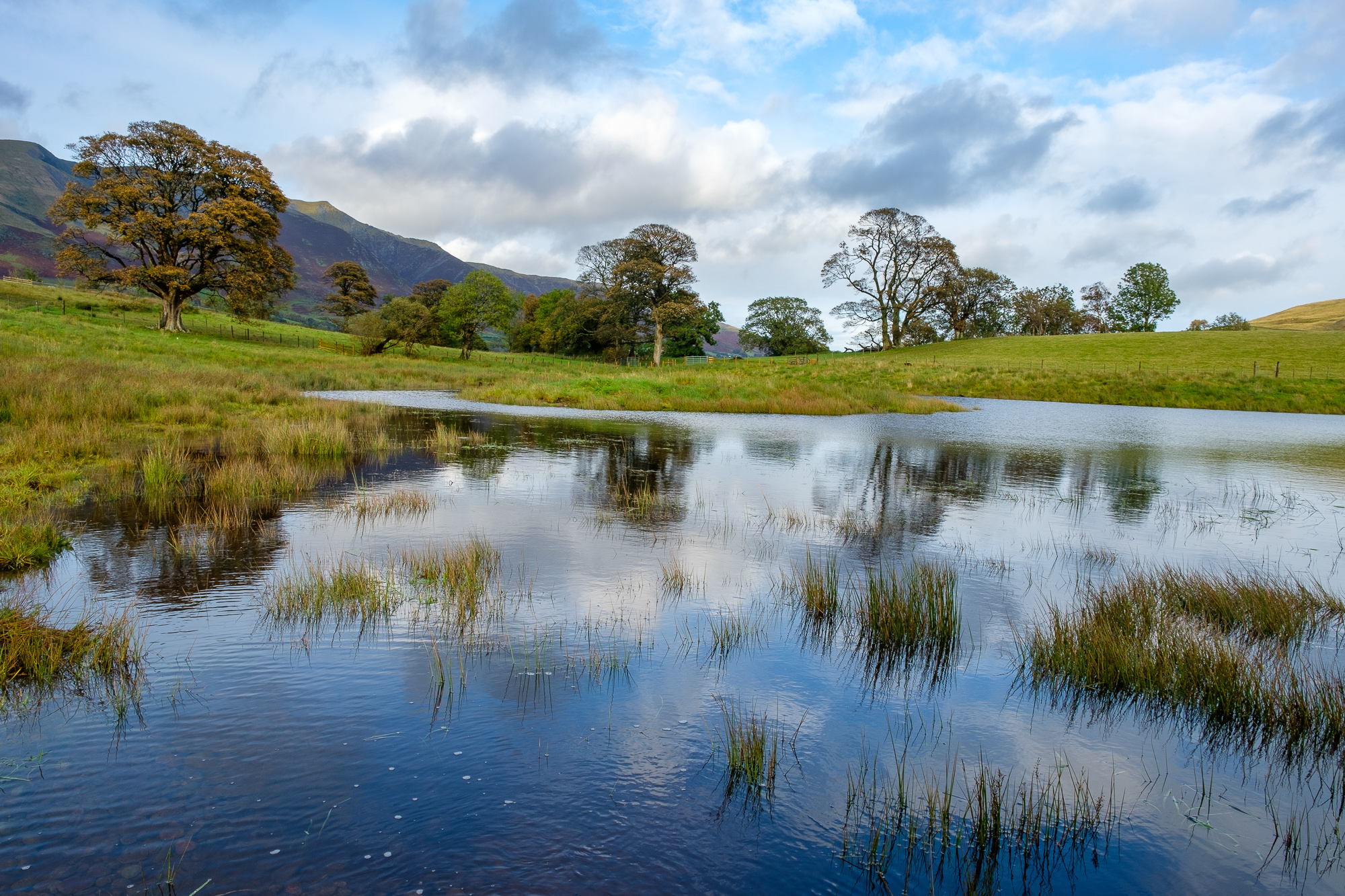 SCIMAP-Flood tool catchment management