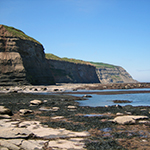 Coastal Behaviour and Rates of Activity