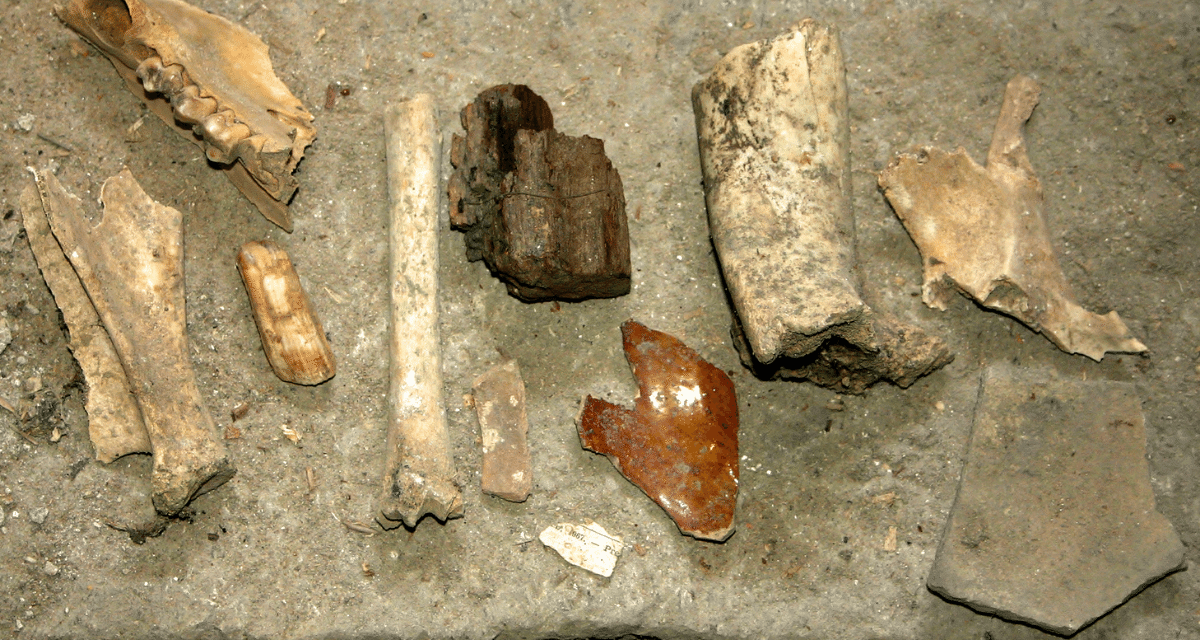 Archaeology artefacts and objects