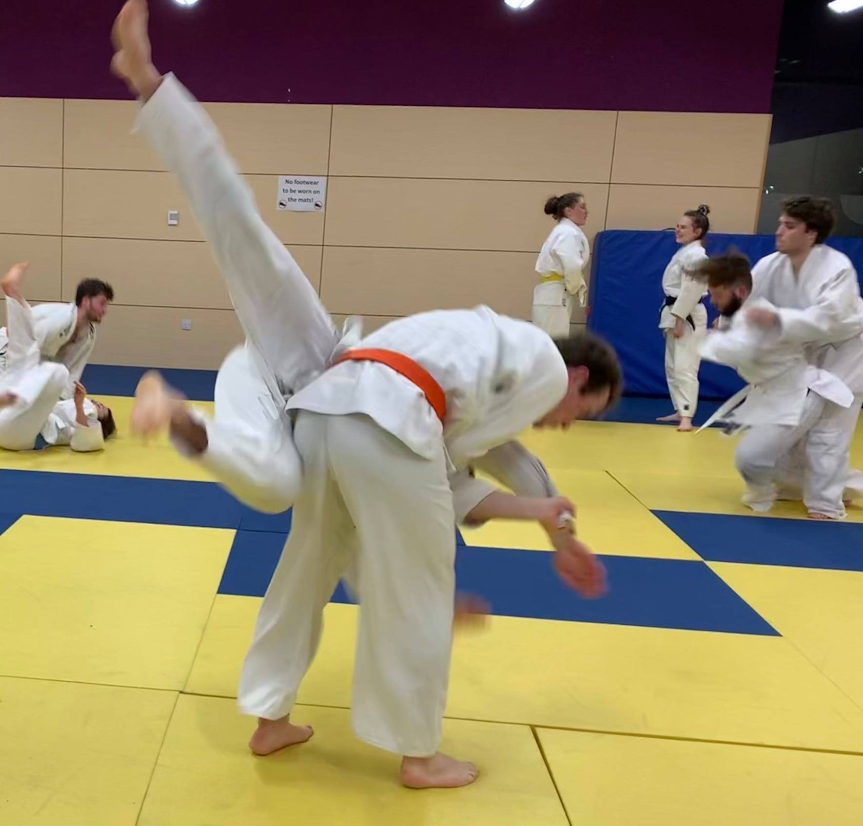 Judo grappling