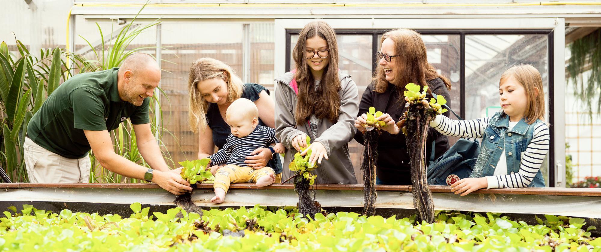 A family exploring the glasshouse at the Botanic Garden.