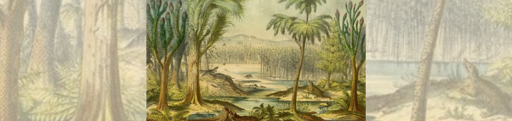 A painting depicting the Carboniferous Period of the Paleozoic Era
