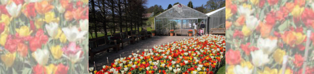 The Greenhouse Lawn at the Botanic Garden