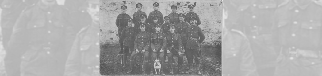 Black and white photograph of a group of 14 British soldiers from the First World War as well as a small dog, presumably a mascot. They are in three rows, the back two of which are standing and are made up of five and six soldiers respectively. The furthest back row is stood on a bench. The front row of three soldiers is all sat down on a bench.