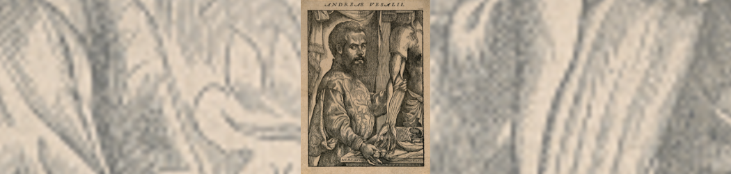 Black and white printed image of Andreas Vesalius stood at a table as he dissects an arm. He has turned slightly so his bearded face is looking at the viewer. He is wearing an embroidered doublet.