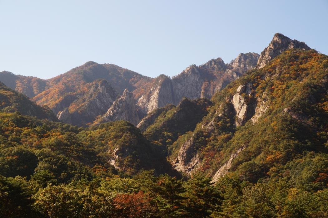 Seoraksan National Park, Gangwon, South Korea © Lauren Barnes